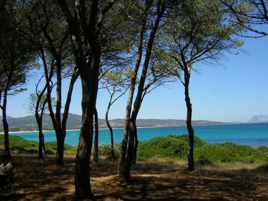 Villa Indipendente Al Mare Budoni Танаунела Екстериор снимка